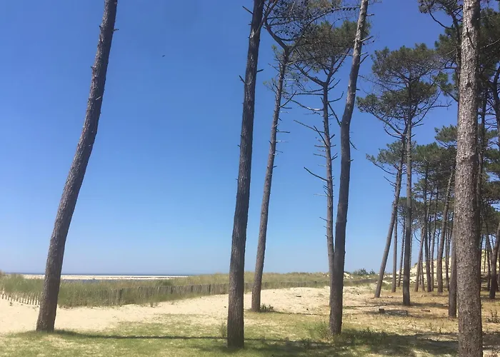Appartement Spacieux Arcachon